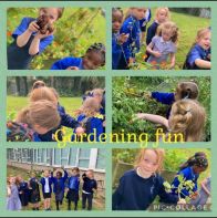 🌱We had great fun today at gardening club. 🥔 We picked tomatoes, potatoes, sage, rosemary and green beans to take home.🍅 😀