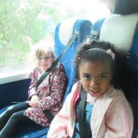 Primary One at the farm