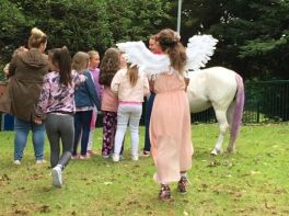 Fairies at Mercy Primary!