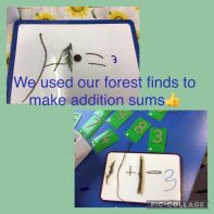 Forest Maths