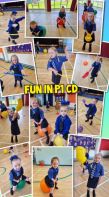 PE P1CD