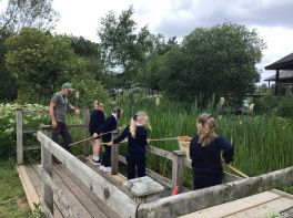 Primary 3 visit to Oxford Island.