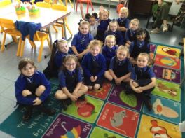 P3 Mrs Fitzmaurice/Mr McKermott 🌈