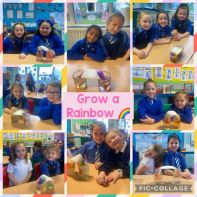 Grow a Rainbow  🌧️ 🌈