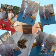 Primary 3 eat some insects!!!