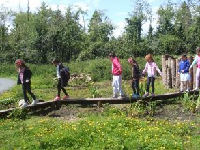 P5 trip to Castle Espie